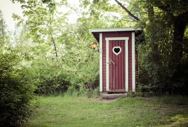 Toilettes sèches ou toilettes traditionnelles?